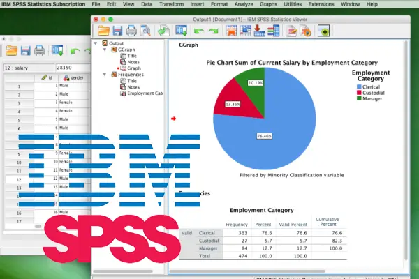 SPSS Statistics Download 2024